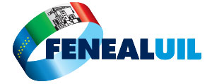 Feneal logo